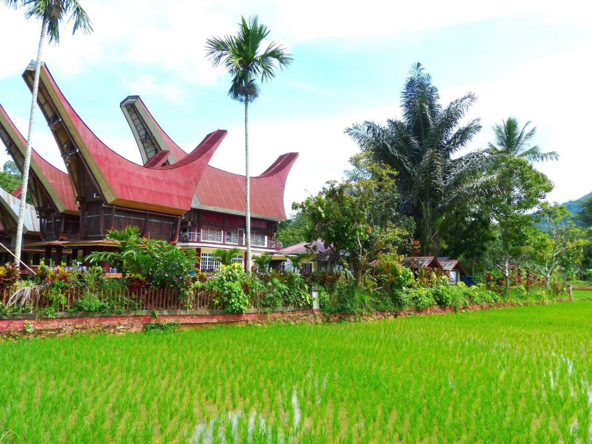 Toraja Torsina Hotel Rantepao Exterior foto
